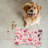 Pink Whimsies - 1 Piece Bone Shape Feeding Mat