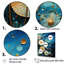 Seacreature Reflections III-2068466476-2068466477