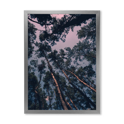 Paysage magique avec pin et ciel dramatique - impression sur toile tropicale