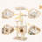 Dorain 67'' H Cat Tree