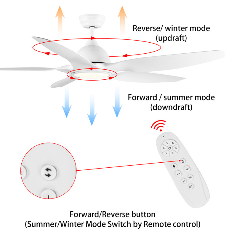 Dainius 60'' Ceiling Fan with LED Lights, White