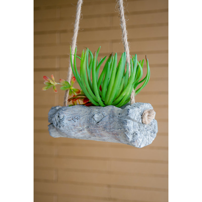 Antoniya Hanging Planter, 9.4" H x 4.3" W x 4.3" D