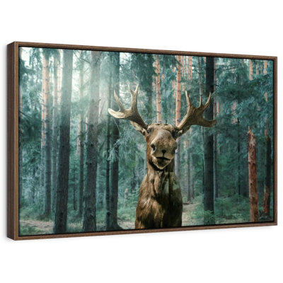 Wild Forest Moose
