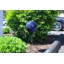 Support à globe décoratif intérieur / extérieur en fer forgé Echo Valley 9117 Petaluma avec base, noir 20,25 po x 8,25 po