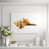 Sea Shell Horn Print