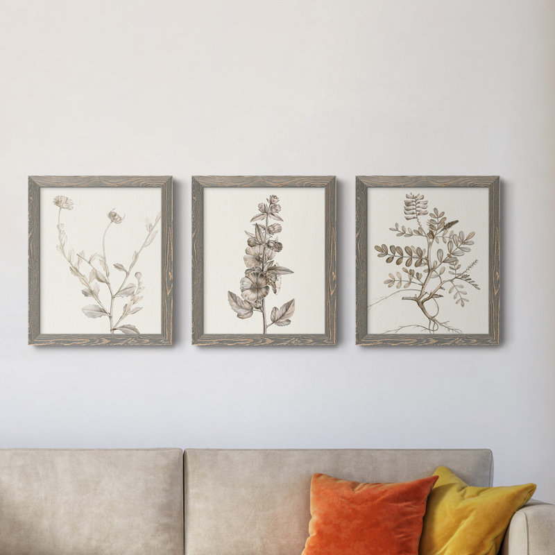 Neutral Botanical Study IV - Ensemble de 3 peintures sur toile encadrées, H 24 po x l 36 po x P 1,5 po, Gris