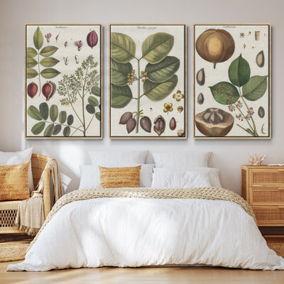 " Antique Foliage And Fruit VI " 3 - Pieces