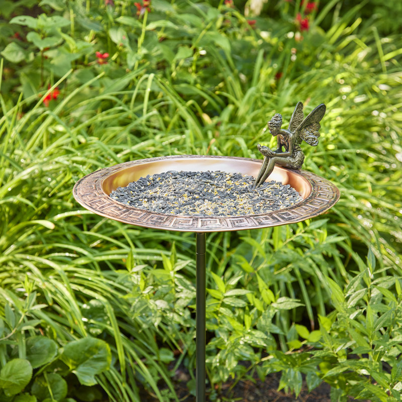 Bain d'oiseaux sur piédestal Eugeniea