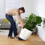 Classico Pot Planter-60539206