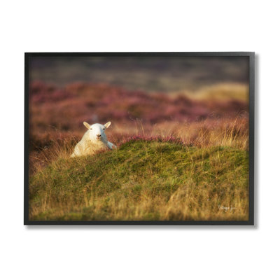 " Lone Sheep In Meadow Rural Countryside Farmland "