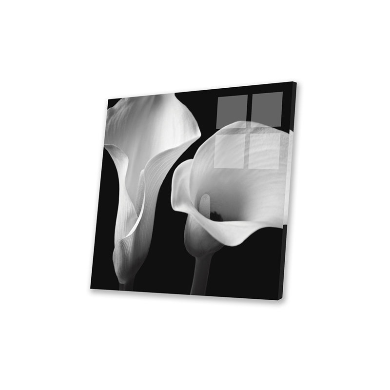 «Softness II», reproduction sur verre acrylique