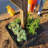 SnapPot Millennium Park Resin Pot Planter-29691215