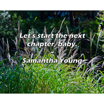 Artsy Quote "Let’s start the next chapter, baby." By Samantha Young Gallery Wrapped Canvas