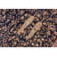 Parmod Wool Oriental Rug