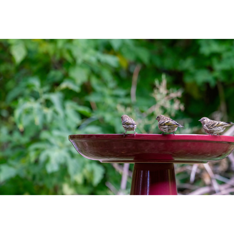 Ohio Stoneware Weather Resistant Ceramic Clay Pedestal Bird Bath for Gardens & Patios, Outdoor Décor  22"H x 17"D, Burgundy