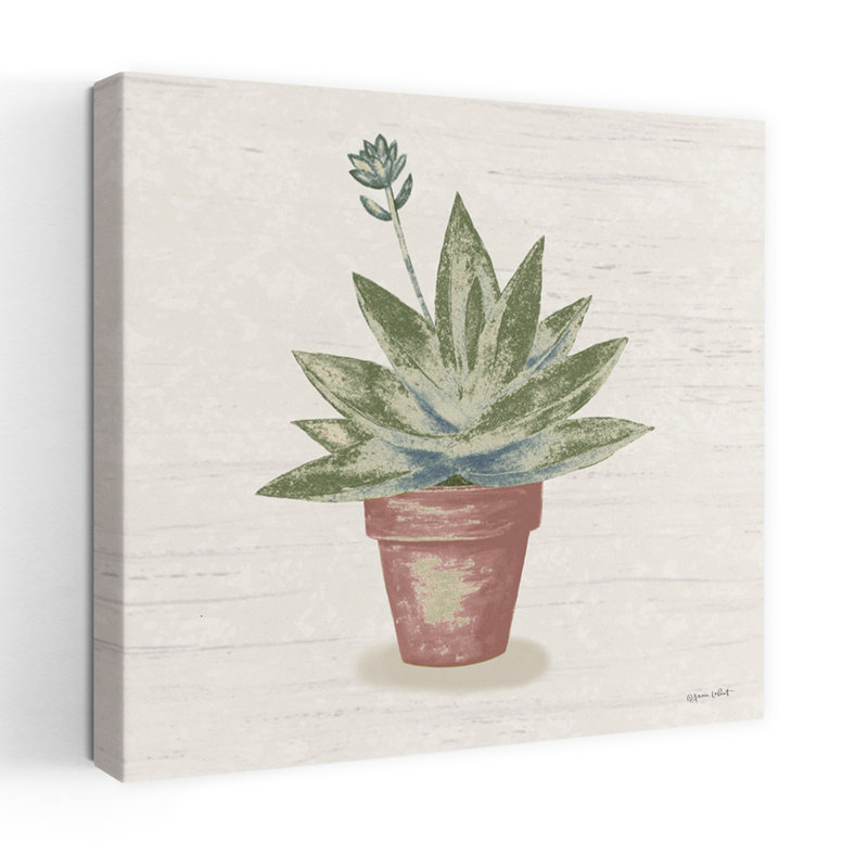 Blooming Succulent Ii, art contemporain, H 18 po x l 18 po