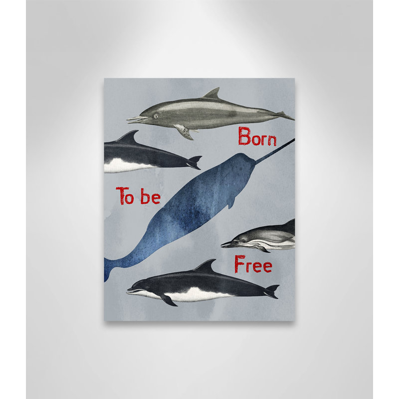 «Born to be free», impression sur papier, H 14 po x l 11 po x P 1,5 po, Toile