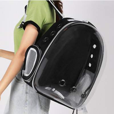 Gibeon Polyvinyl Chloride (PVC) Pet Carrier