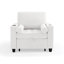 Upholstered Accent Chair-288079235