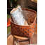 Gracie Oaks Decorative Basket