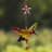 Kashius Plastic Animals Rain Chain