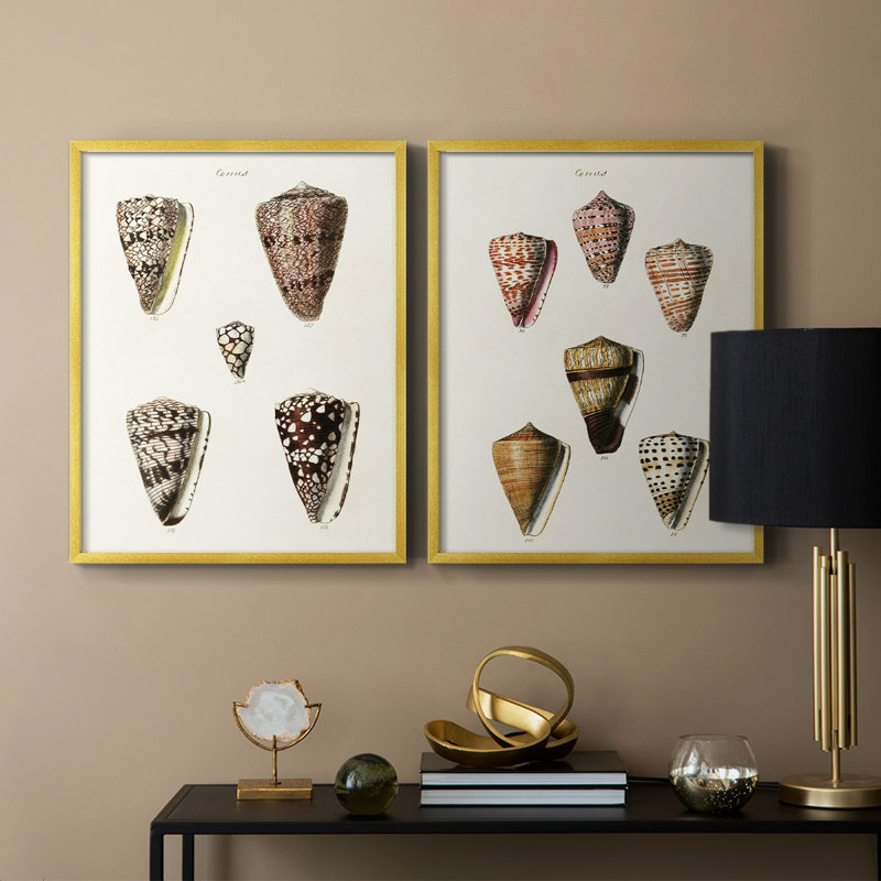 Cone Shell Collection III - reproduction encadrée de qualité supérieure - prête à être accrochée - aucun clou requis - aucun clou requis