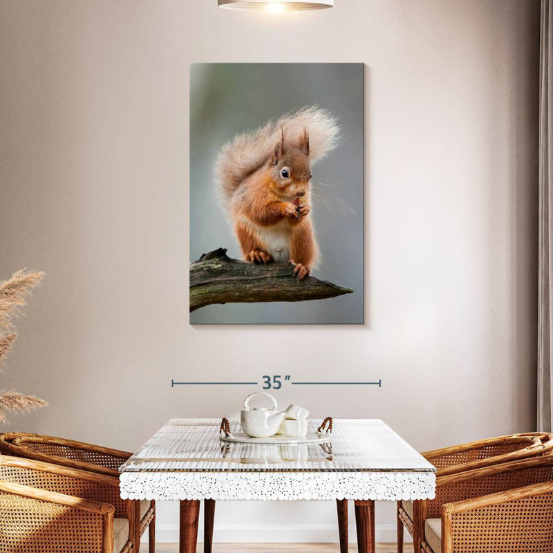 Brampt Red Squirrel Eating On A Branch, 45" H x 30" W