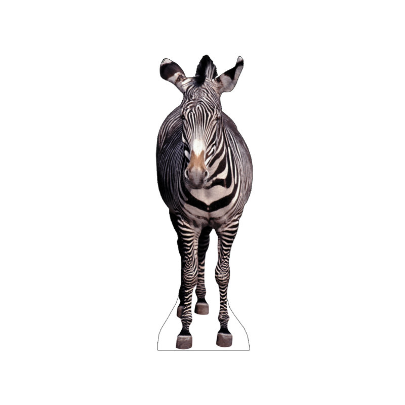 Animals 72'' Cardboard Standup