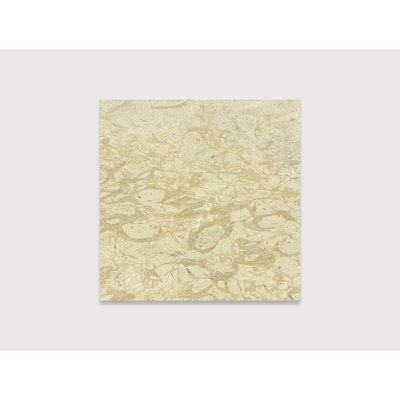 Pearl 16" x 16" Tile