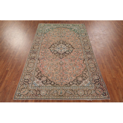 Traditional Area Rug 6x10