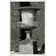 Garden Urn 2 Print by Thom Filicia