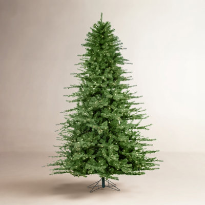 Lighted Fir Christmas Tree