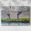 Willows in Springtime, 1886, toile tendue avec châssis-918402807