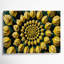 Fruit Buddhas Hand Citron Green Canvas Wall Art-305939206