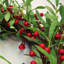 Faux 60cm Wreath