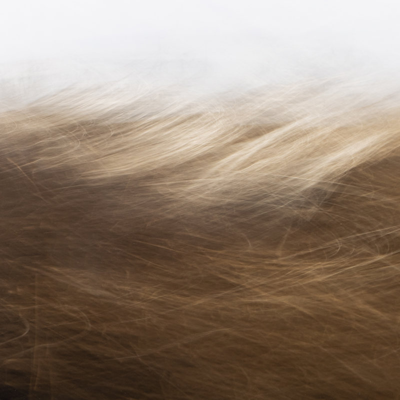 Reality Unfurled Print by Toni Toscano, 36" H x 48" W x 2.5" D