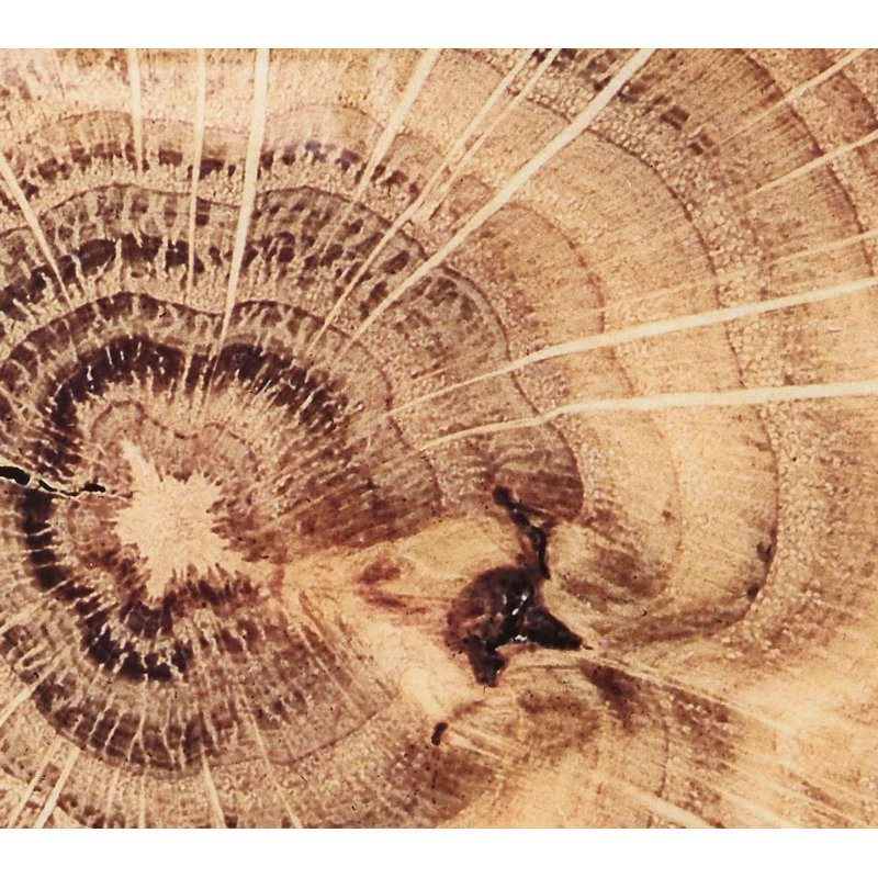 Woodland Placemat