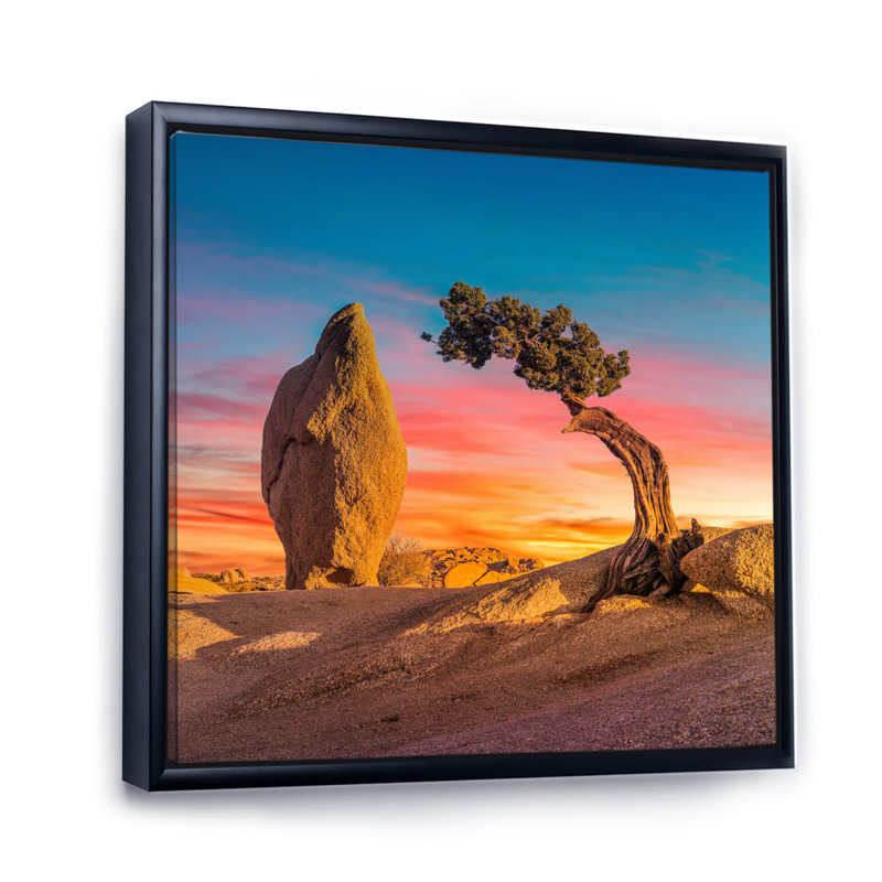 " Solitude Tree On Arkansas Desert ", Black Floater Framed, 34" H x 44" W x 1.5" D