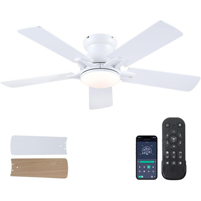 Modern Ceiling Fans With Lights And Remote/APP Control, 41 Inch ...