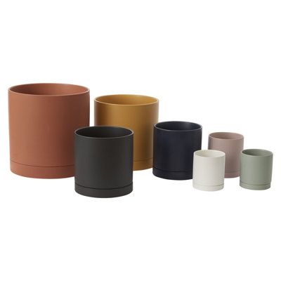 Carlotta Ceramic Pot Planter