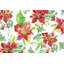 Poinsettia joli V-1132872536-1114967868-1114967871