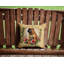 Coussin décoratif intérieur / extérieur en polyester -1118672585