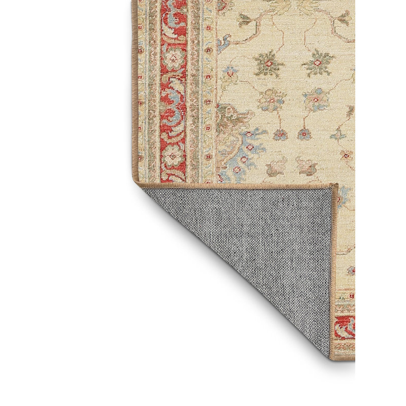 Cath Oriental Indoor Rug, Rectangle 2' x 3'