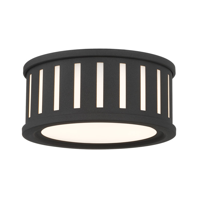 Numan 2 Light Flush Mount _x000D_, Black Forged