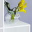 96.5cm H x 96.5cm W Bookcase-69834629