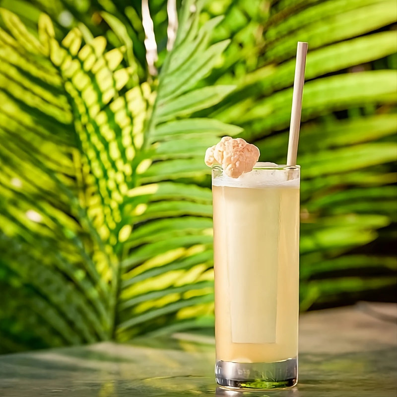 Ensemble de 6 verres à gin Highball