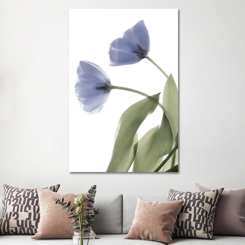 X-Ray Tulip III by Judy Stalus - Wrapped Canvas Print, 152.5 cm H x 101.5 cm W