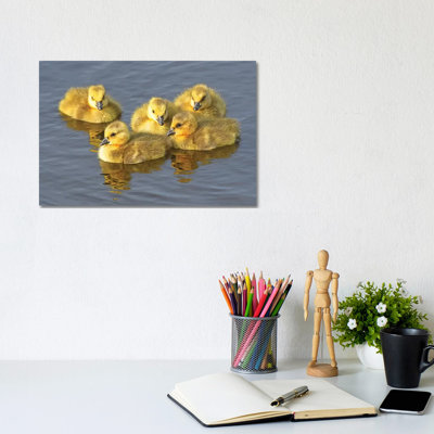 Yellow Puffballs by Brian Wolf - Wrapped Canvas Gallery-Wrapped Canvas Giclée