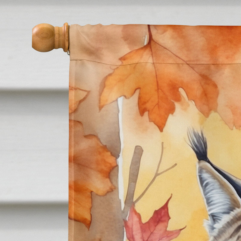 Chat en feuilles d'automne, Highlander Lynx