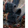 Lieveke Oriental Indoor Rug
